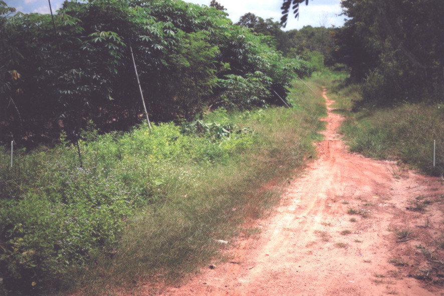 ขายทอดตลาด ที่ดินว่างเปล่า ต.โคกสะอาด อ.เมืองอุดรธานี จ.อุดรธานี