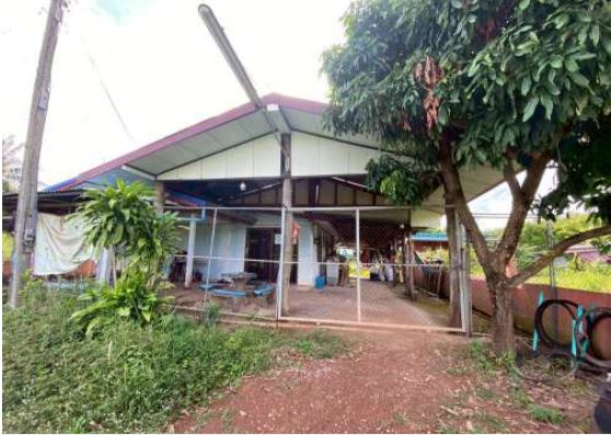 ขายทอดตลาด ที่ดินพร้อมสิ่งปลูกสร้าง ต.บ้านตาด อ.บ้านดุง จ.อุดรธานี