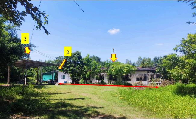 ขายทอดตลาด ที่ดินพร้อมสิ่งปลูกสร้าง ต.ผาสุก อ.กุมภวาปี จ.อุดรธานี