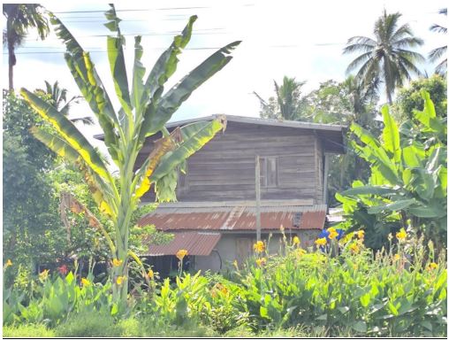 ขายทอดตลาด ที่ดินพร้อมสิ่งปลูกสร้าง ต.หนองสระปลา อ.หนองหาน จ.อุดรธานี