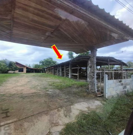 ขายทอดตลาด ที่ดินพร้อมสิ่งปลูกสร้าง ต.กระนวน อ.ซำสูง จ.ขอนแก่น