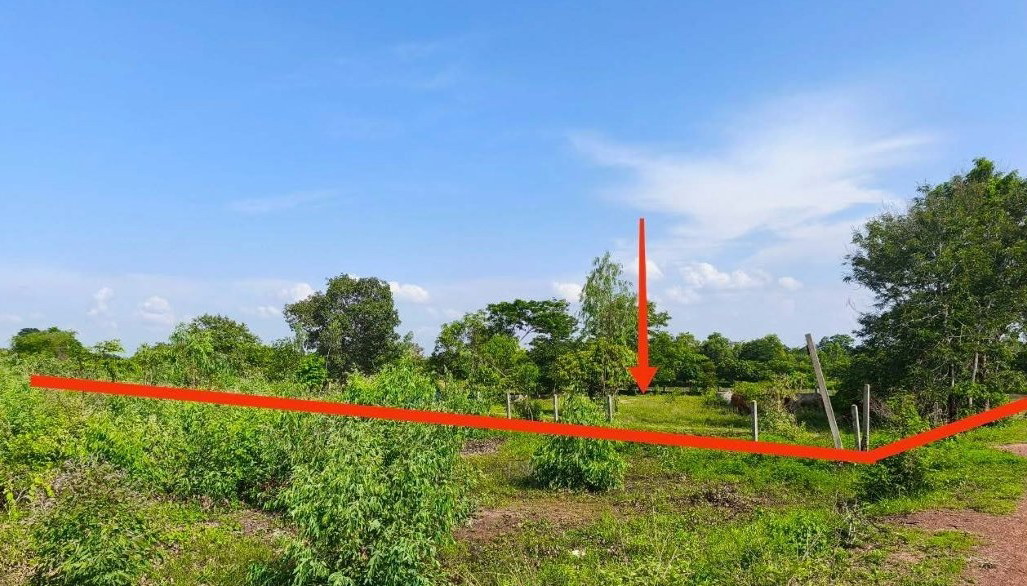 ขายทอดตลาด ที่ดินว่างเปล่า ต.บ้านโนน อ.ซำสูง จ.ขอนแก่น