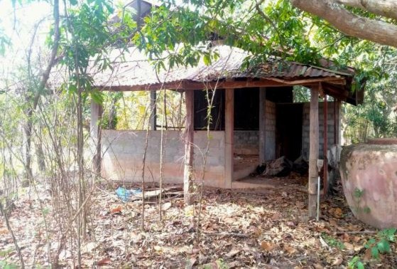 ขายทอดตลาด ที่ดินพร้อมสิ่งปลูกสร้าง ต.ผักตบ อ.หนองหาน จ.อุดรธานี