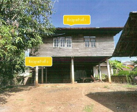 ขายทอดตลาด ที่ดินพร้อมสิ่งปลูกสร้าง ต.หัวนาคำ อ.ศรีธาตุ จ.อุดรธานี