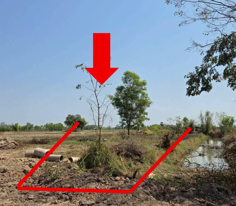 ขายทอดตลาด ที่ดินว่างเปล่า ต.เมืองเพีย อ.กุดจับ จ.อุดรธานี