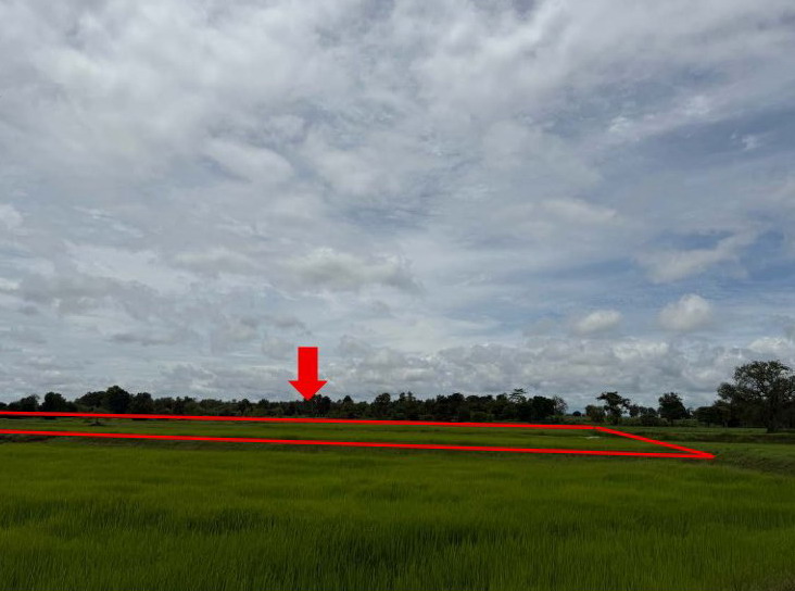 ขายทอดตลาด ที่ดินว่างเปล่า ต.โพนเพ็ก อ.มัญจาคีรี จ.ขอนแก่น