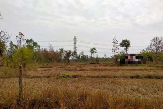 ขายทอดตลาด ที่ดินว่างเปล่า ต.สามพร้าว อ.เมืองอุดรธานี จ.อุดรธานี