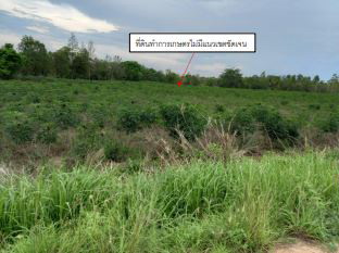 ขายทอดตลาด ที่ดินว่างเปล่า ต.หนองหญ้าไซ อ.วังสามหมอ จ.อุดรธานี