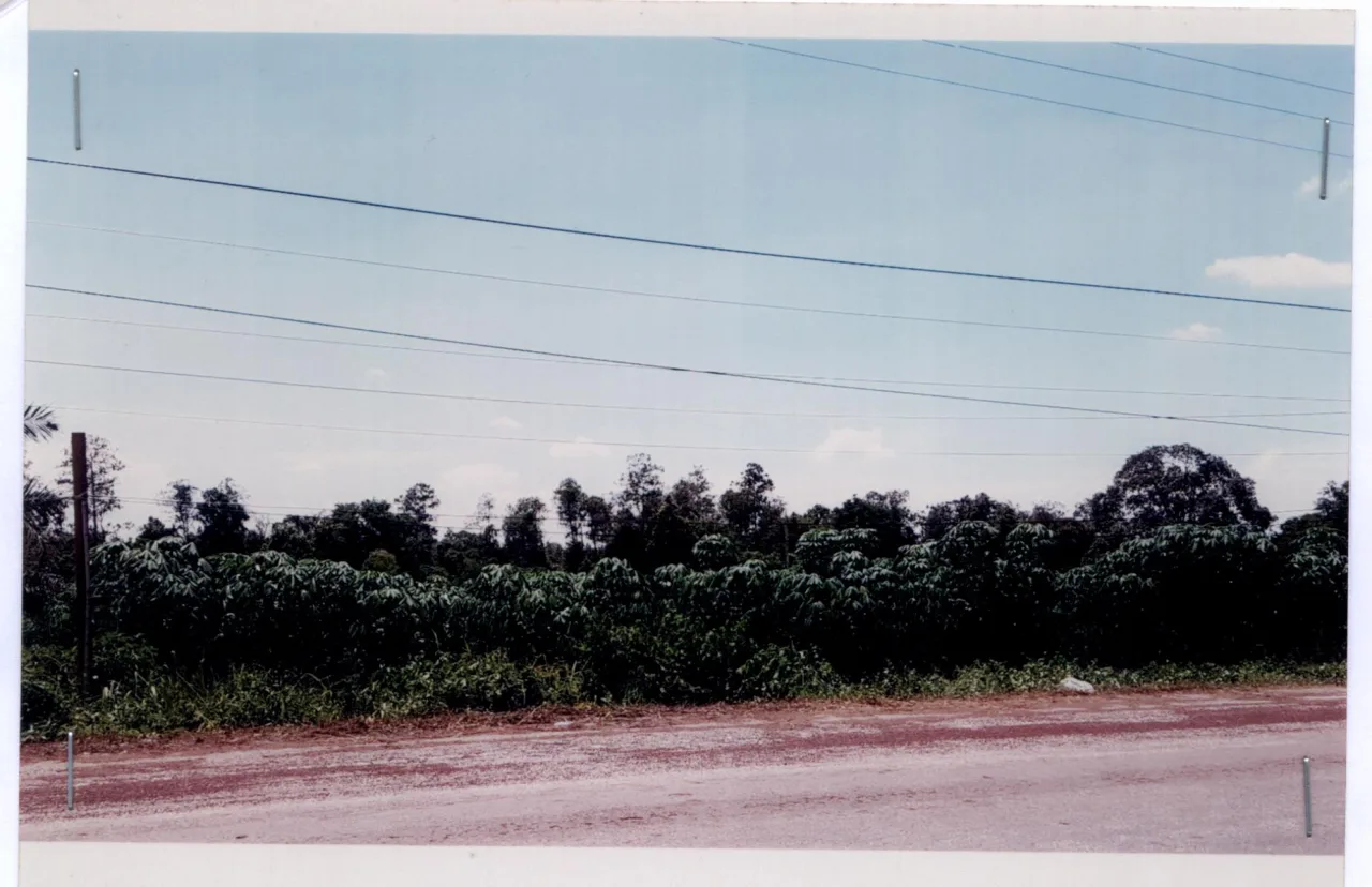 ขายทอดตลาด ที่ดินว่างเปล่า ต.หนองเม็ก อ.หนองหาน จ.อุดรธานี