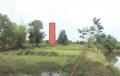 ขายทอดตลาด ที่ดินว่างเปล่า ต.ห้วยสามพาด อ.ประจักษ์ศิลปาคม จ.อุดรธานี