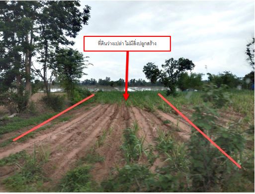 ขายทอดตลาด ที่ดินว่างเปล่า ต.สีออ อ.กุมภวาปี จ.อุดรธานี