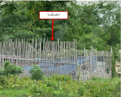 ขายทอดตลาด ที่ดินพร้อมสิ่งปลูกสร้าง ต.สีออ อ.กุมภวาปี จ.อุดรธานี