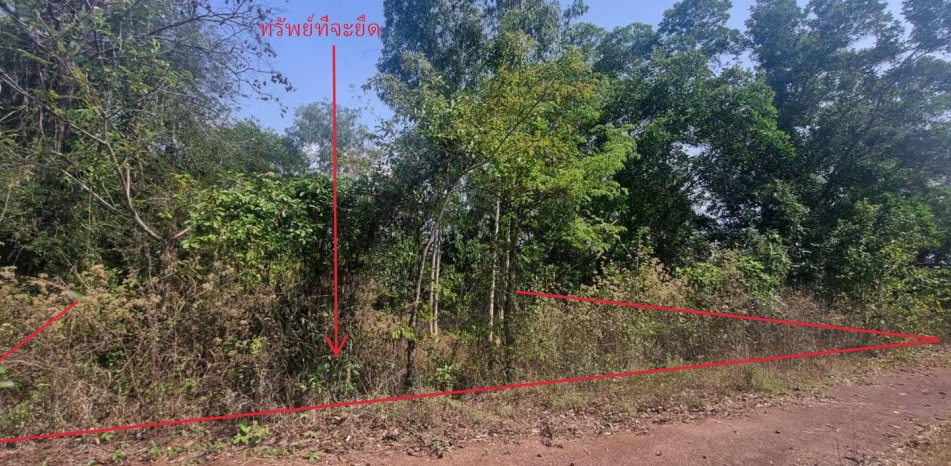 ขายทอดตลาด ที่ดินว่างเปล่า ต.สามพร้าว อ.เมืองอุดรธานี จ.อุดรธานี