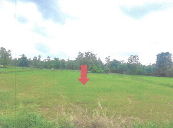 ขายทอดตลาด ที่ดินว่างเปล่า ต.จำปาโมง อ.บ้านผือ จ.อุดรธานี