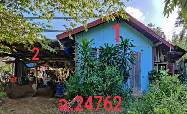 ขายทอดตลาด ที่ดินพร้อมสิ่งปลูกสร้าง ต.คำบง อ.บ้านผือ จ.อุดรธานี