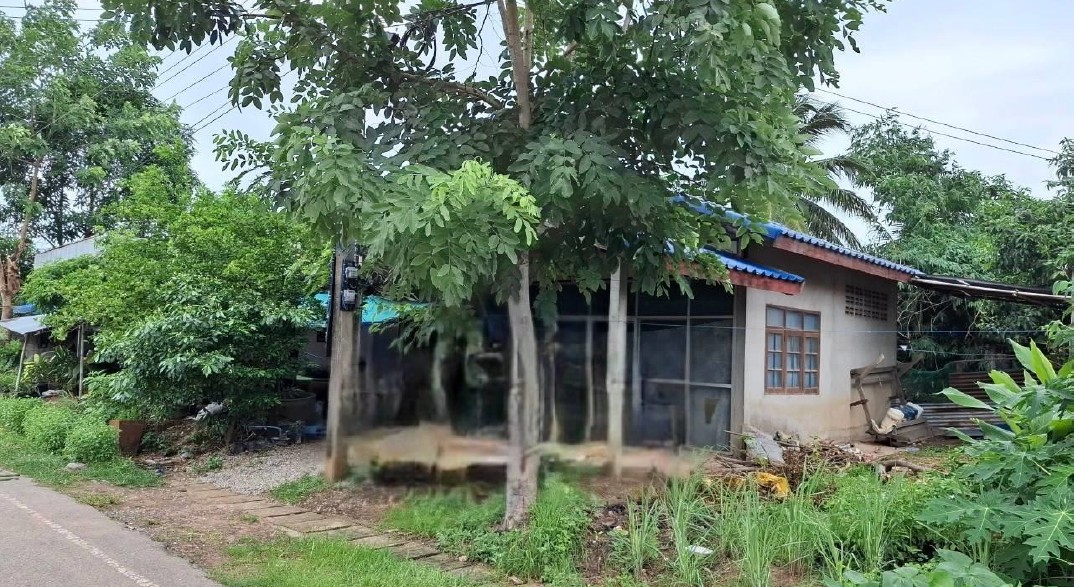 ขายทอดตลาด ที่ดินพร้อมสิ่งปลูกสร้าง ต.โพธิ์ศรีสำราญ อ.โนนสะอาด จ.อุดรธานี