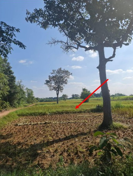 ขายทอดตลาด ที่ดินว่างเปล่า ต.ทุ่งฝน อ.ทุ่งฝน จ.อุดรธานี