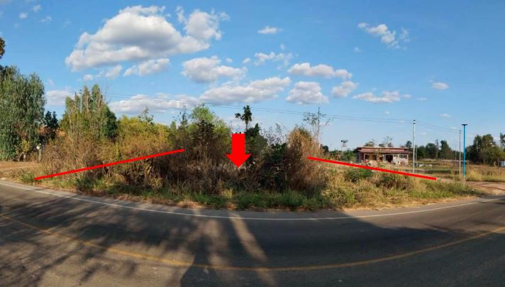 ขายทอดตลาด ที่ดินว่างเปล่า ต.ผักตบ อ.หนองหาน จ.อุดรธานี