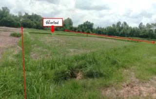 รูปทรัพย์ 2
