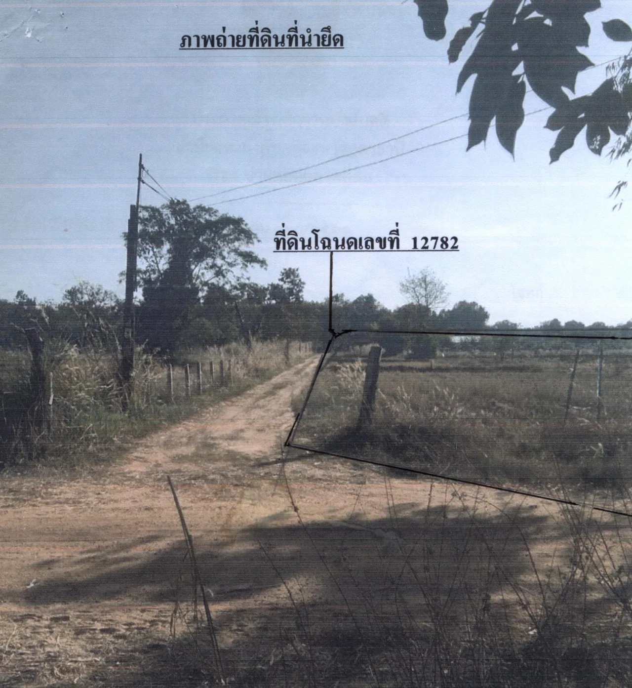 ขายทอดตลาด ที่ดินว่างเปล่า ต.นาชุมแสง อ.ทุ่งฝน จ.อุดรธานี