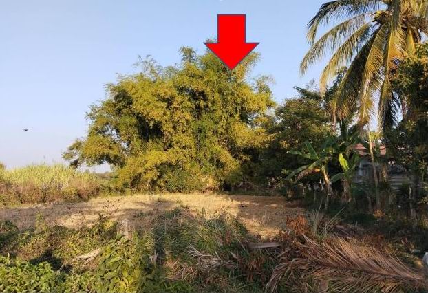 ขายทอดตลาด ที่ดินว่างเปล่า ต.จอมศรี อ.เพ็ญ จ.อุดรธานี