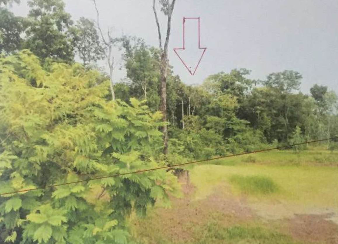 ขายทอดตลาด ที่ดินว่างเปล่า ต.บ้านธาตุ อ.เพ็ญ จ.อุดรธานี