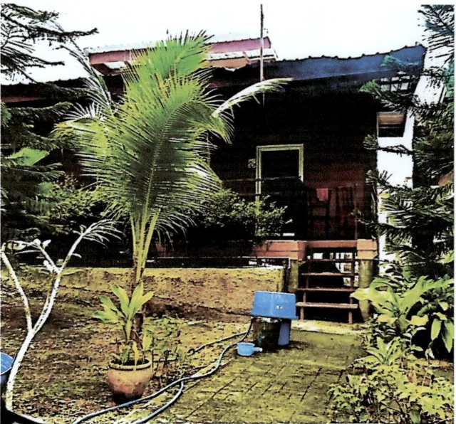 ขายทอดตลาด ที่ดินพร้อมสิ่งปลูกสร้าง ต.อ่าวนาง อ.เมืองกระบี่ จ.กระบี่