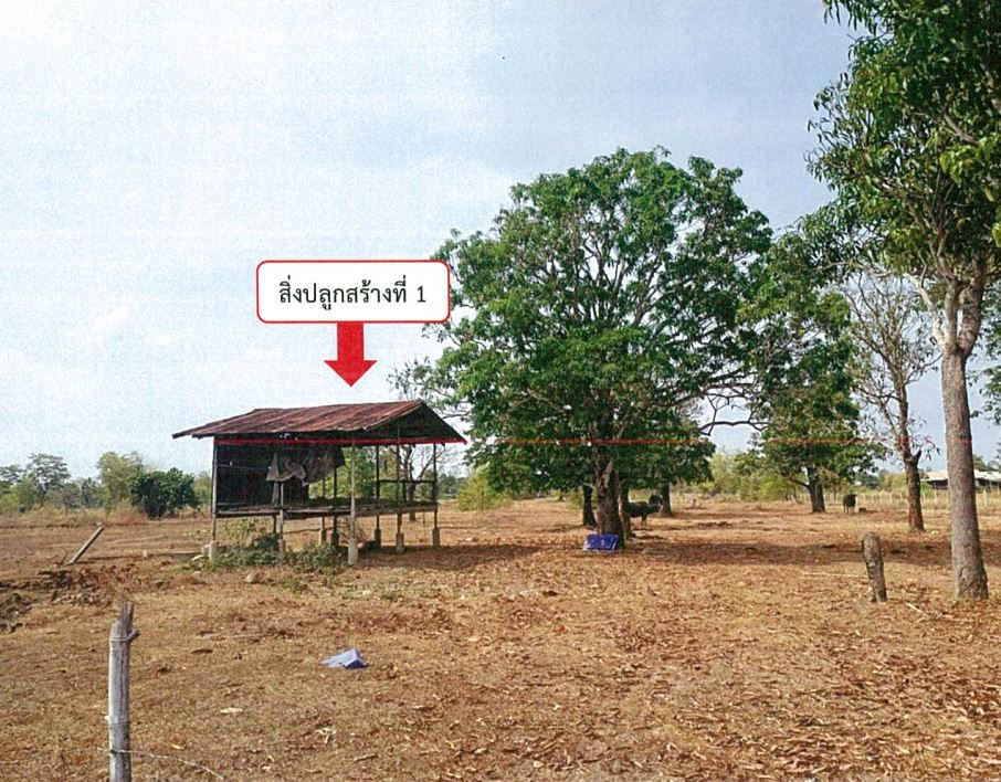 ขายทอดตลาด ที่ดินพร้อมสิ่งปลูกสร้าง ต.นาพู่ อ.เพ็ญ จ.อุดรธานี