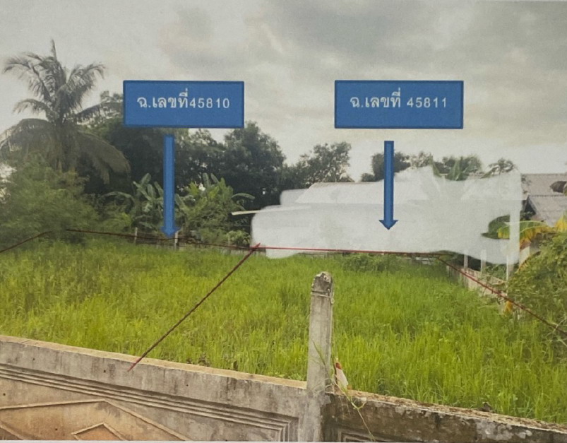 ขายทอดตลาด ที่ดินว่างเปล่า ต.ศรีสุทโธ อ.บ้านดุง จ.อุดรธานี