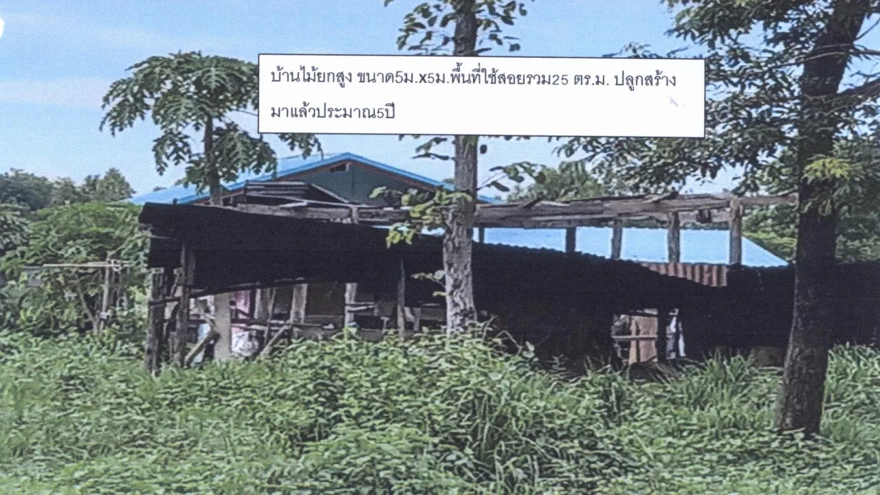 ขายทอดตลาด ที่ดินพร้อมสิ่งปลูกสร้าง ต.ห้วยสามพาด อ.ประจักษ์ศิลปาคม จ.อุดรธานี
