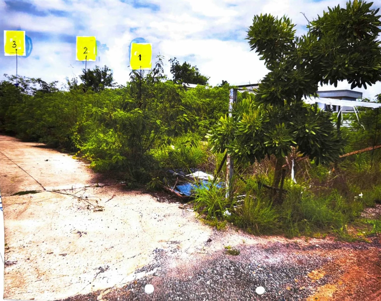 ขายทอดตลาด ที่ดินว่างเปล่า ต.แดงใหญ่ อ.เมืองขอนแก่น จ.ขอนแก่น
