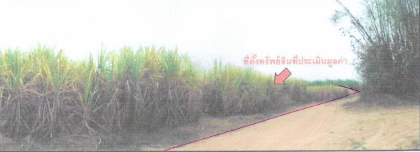 ขายทอดตลาด ที่ดินว่างเปล่า ต.ตาลเลียน อ.กุดจับ จ.อุดรธานี