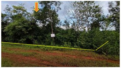 ขายทอดตลาด ที่ดินว่างเปล่า ต.หนองนาคำ อ.เมืองอุดรธานี จ.อุดรธานี