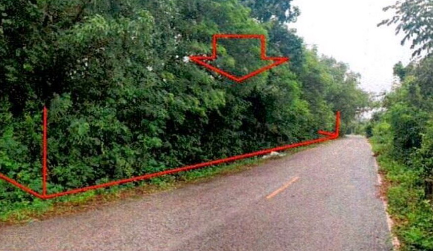 ขายทอดตลาด ที่ดินว่างเปล่า ต.นาดี อ.เมืองอุดรธานี จ.อุดรธานี