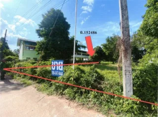 รูปทรัพย์ 2