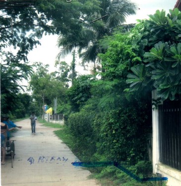 ขายทอดตลาด ที่ดินว่างเปล่า ต.หนองขอนกว้าง อ.เมืองอุดรธานี จ.อุดรธานี