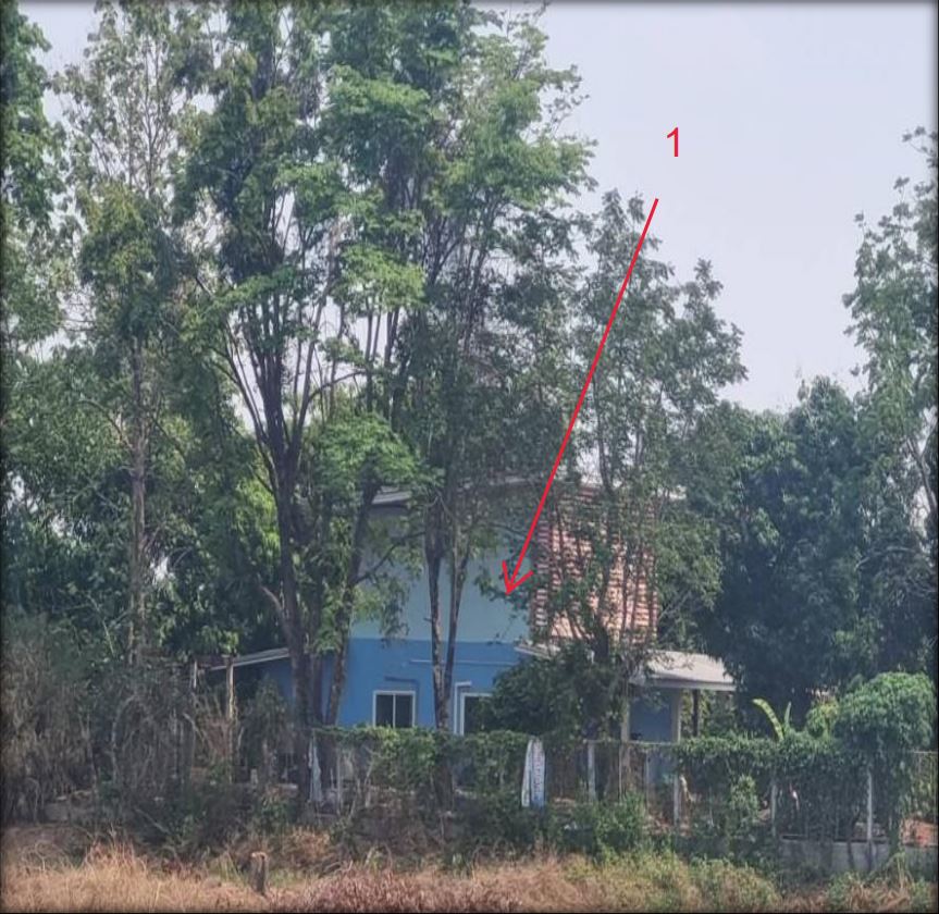 ขายทอดตลาด ที่ดินพร้อมสิ่งปลูกสร้าง ต.ห้วยสามพาด อ.ประจักษ์ศิลปาคม จ.อุดรธานี