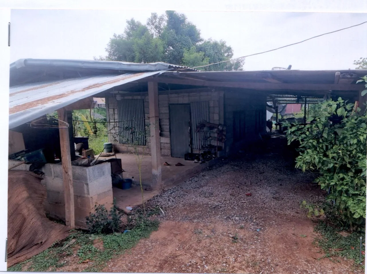 ขายทอดตลาด ที่ดินพร้อมสิ่งปลูกสร้าง ต.ศรีสุทโธ อ.บ้านดุง จ.อุดรธานี