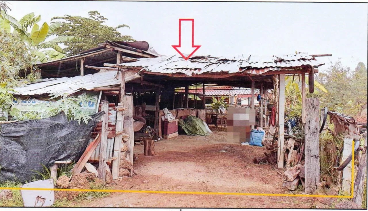 ขายทอดตลาด ที่ดินพร้อมสิ่งปลูกสร้าง ต.หนองไผ่ อ.เมืองอุดรธานี จ.อุดรธานี