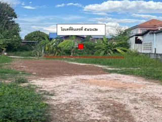 รูปทรัพย์ 2