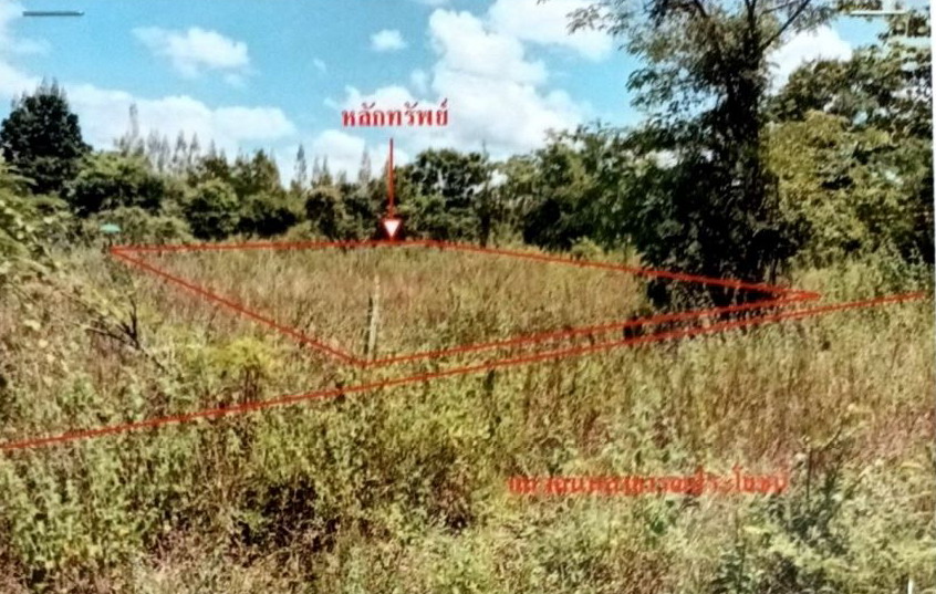 ขายทอดตลาด ที่ดินว่างเปล่า ต.หนองไผ่ อ.เมืองอุดรธานี จ.อุดรธานี