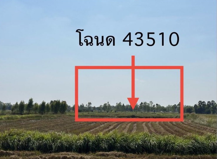 ขายทอดตลาด ที่ดินว่างเปล่า ต.พันดอน อ.กุมภวาปี จ.อุดรธานี