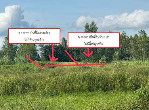 ขายทอดตลาด ที่ดินว่างเปล่า ต.นาชุมแสง อ.ทุ่งฝน จ.อุดรธานี