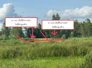 รูปทรัพย์ 1
