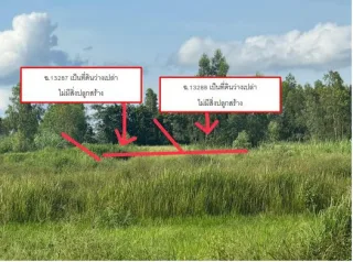 รูปทรัพย์ 2