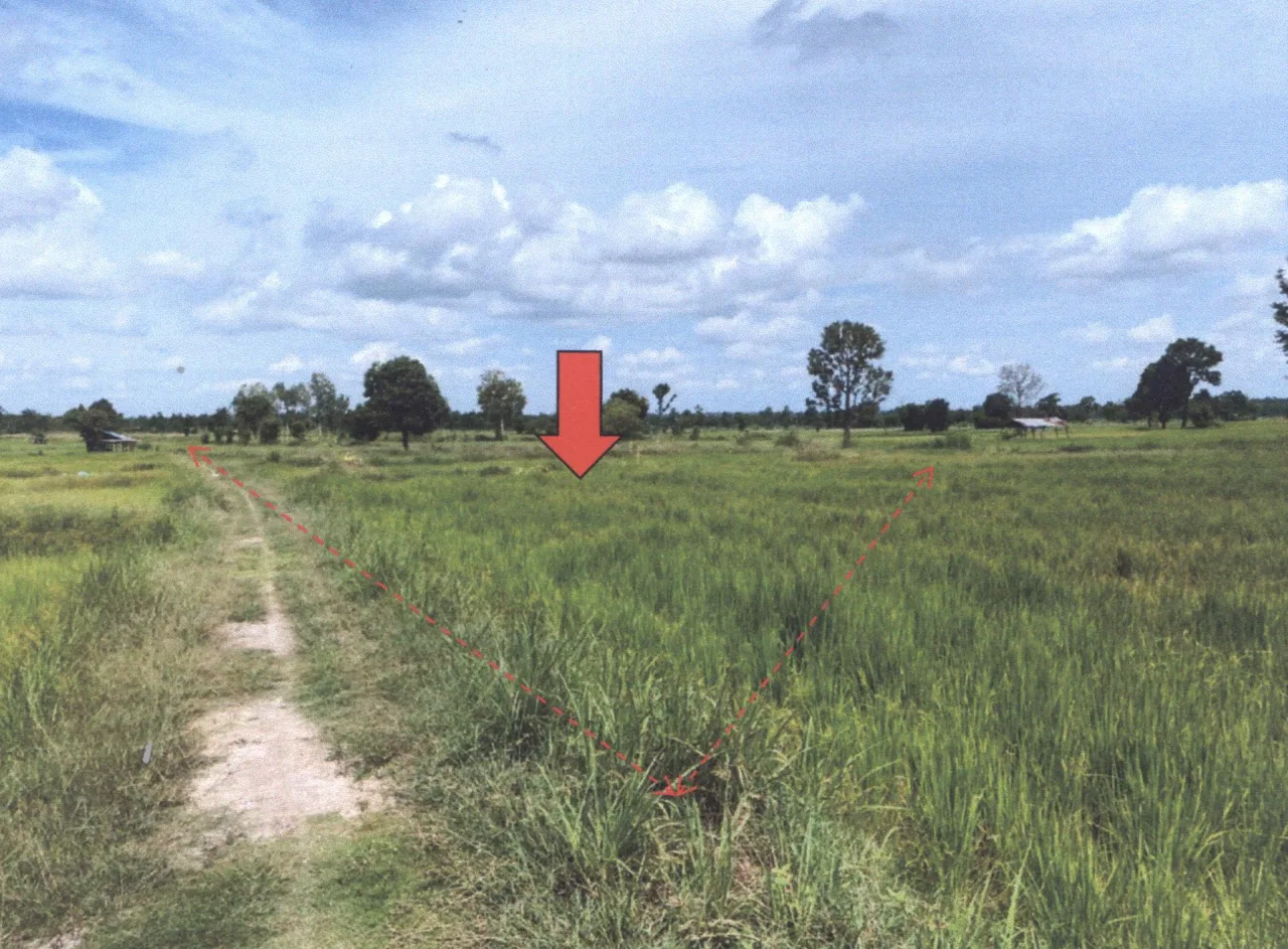 ขายทอดตลาด ที่ดินว่างเปล่า ต.นาคำ อ.บ้านดุง จ.อุดรธานี