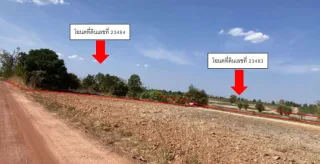 รูปทรัพย์ 2