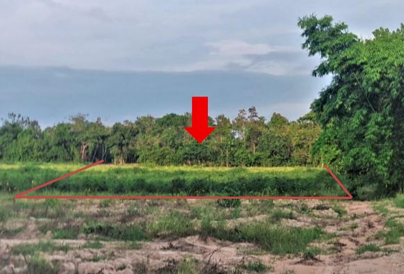 ขายทอดตลาด ที่ดินว่างเปล่า ต.นากว้าง อ.เมืองอุดรธานี จ.อุดรธานี