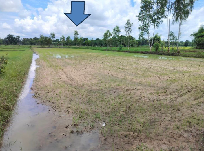 ขายทอดตลาด ที่ดินว่างเปล่า ต.นาม่วง อ.ประจักษ์ศิลปาคม จ.อุดรธานี