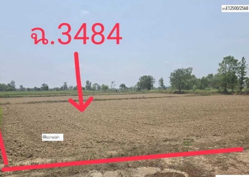 ขายทอดตลาด ที่ดินว่างเปล่า ต.เมืองเพีย อ.กุดจับ จ.อุดรธานี